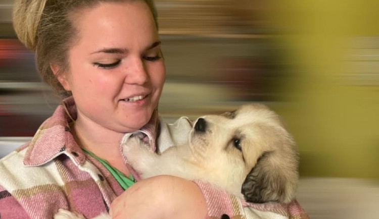 Tlapky v bezpečí. Studentka veteriny založila iniciativu proti množírnám, jde o stovky případů