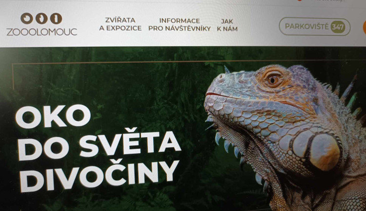 Dá se zaparkovat u zoo Olomouc? Informace jsou nyní online, zahrada má nový web
