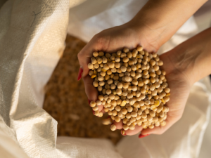 Přihlas se do soutěže Regionální potravina Karlovarského kraje