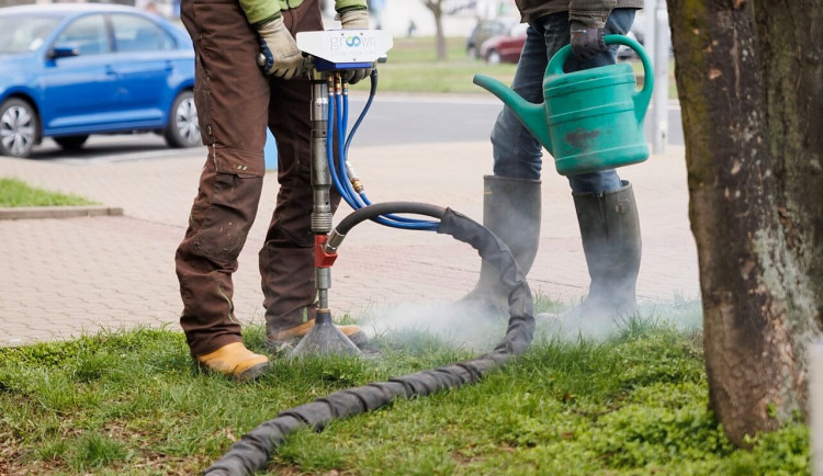 Hradec Králové se brání suchu, stromy zavlažuje velkými vaky a půdní injektáží