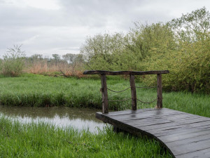 Projekt ptačích parků.