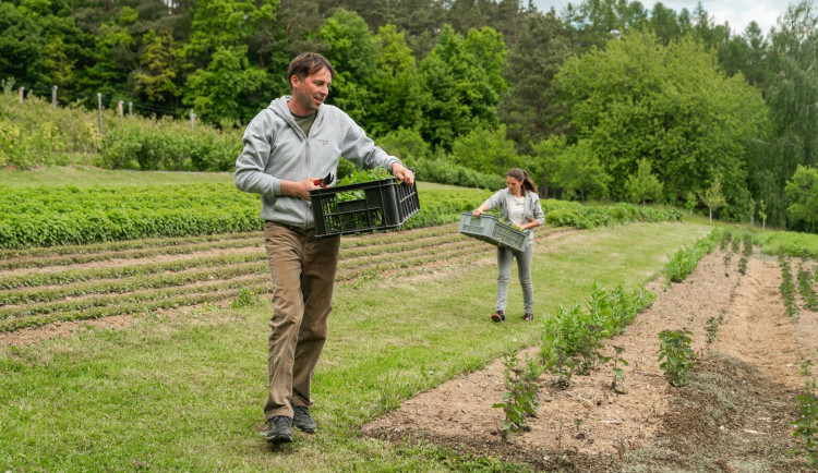 Projekt bylinné zahrady.