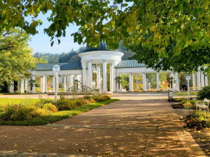 Mariánské Lázně zakládají rozvojovou společnost, připraví městské projekty
