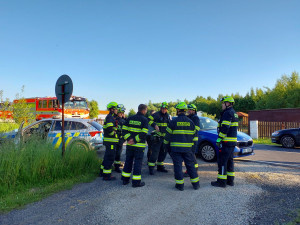 Na Sokolovsku uprchla puma, policie asistuje při jejím odchytu