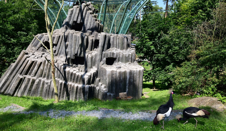 Bábovka je otevřená. V obří voliéře v olomoucké zoo se lidé projdou mezi cizokrajným ptactvem