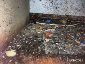 Trus hlodavců i plísně v chladicích boxech. Inspektoři uzavřeli občerstvení na hradě