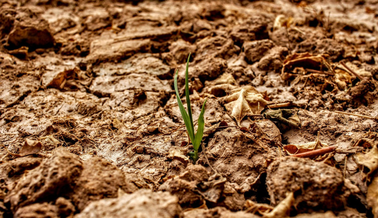 Na jihu Moravy padají teplotní rekordy, vlna veder nepoleví ani o víkendu