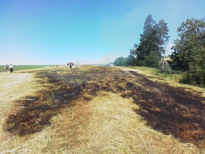 Hasiči varují před požáry v přírodě. Od začátku týdne zasahovali u devatenácti případů