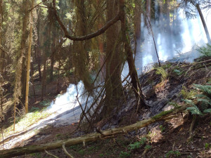 Hasiči varují před požáry v přírodě. Od začátku týdne zasahovali u devatenácti případů