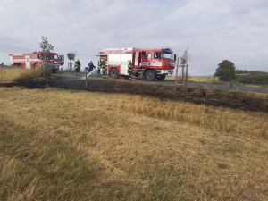 Hasiči varují před požáry v přírodě. Od začátku týdne zasahovali u devatenácti případů