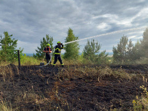 Hasiči varují před požáry v přírodě. Od začátku týdne zasahovali u devatenácti případů