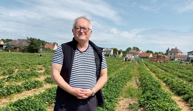 Piráti hlasují o kandidatuře Vladimíra Votápka v Karlovarském kraji.