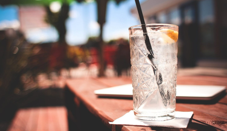 Více než polovina kontrol ČOI na karlovarském festivalu zjistila pochybení.