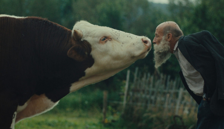 Křišťálový glóbus v Karlových Varech získal snímek Raději zešílet v divočině. Foto: Se svolením KVIFF