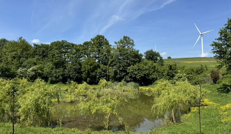Starostka z Tachovska: Tři bavorské okresy se zavázaly omezit větrníky u hranic