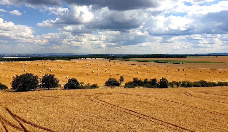 Na kopci Strážná se otevírá nová rozhledna. Je to obnovení tradice, říká starostka Přemyslovic