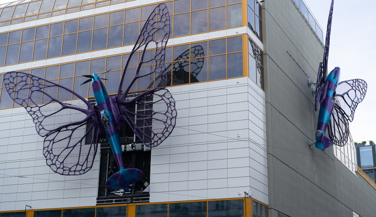 ANKETA: Majitelé Máje chtějí motýly na budově nechat, požádali o prodloužení