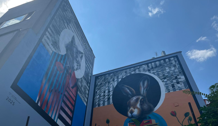 VIDEO: Největší mural v Brně. Centrum města zdobí vlk a zajíc