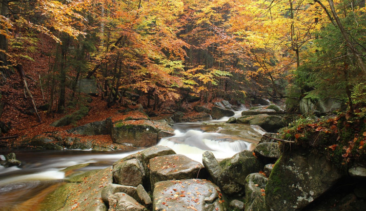 Projekt na zadržování vody v krajině zasáhne rašeliniště na hřebenech Krkonoš