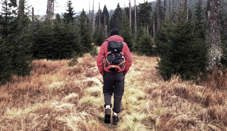 Turistická trasa na šumavský Modrý sloup by se mohla otevřít ještě letos