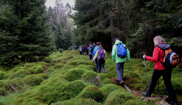 Zachovalá příroda Českého lesa je již 20 let pod ochranou CHKO