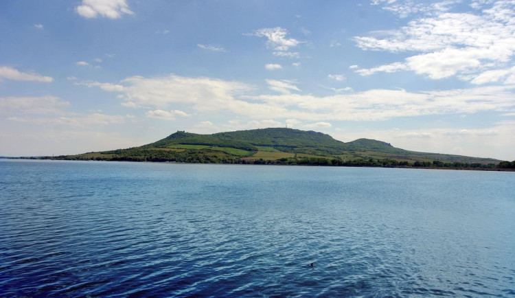 Vysoké koncentrace sinic znovu ohrožují vodu v řece Dyji