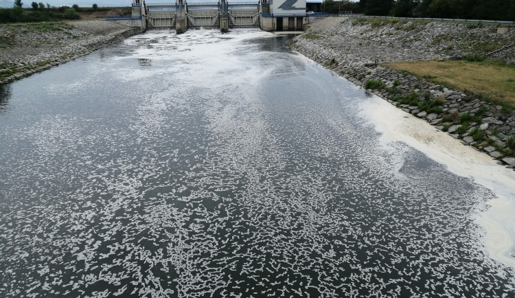 Rybáři demonstrovali u Nových Mlýnů. Chtějí každoroční odstávku elektrárny v létě