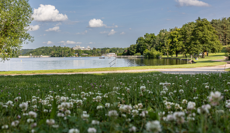 V koupališti Rokle na Prýglu jsou sinice. Riziko hrozí dětem a těhotným