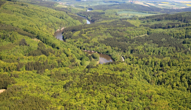 V ČR a Polsku začal na několika místech projekt na obnovu a ochranu lesů
