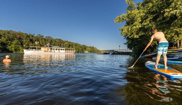 Voda v  koupališti Rokle v Brněnské přehradě se zlepšila, zdravotní trable nehrozí