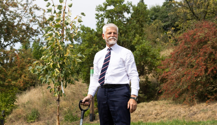 Prezident Pavel vysadil botanické zahradě lípu. Stromy tu mají i Havel a Čaputová