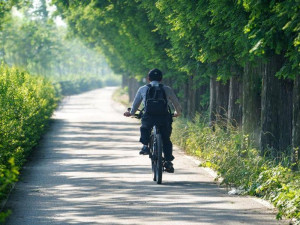 V Chebu začala stavba úseku cyklostezky směrem k Pomezí nad Ohří za 53 milionů
