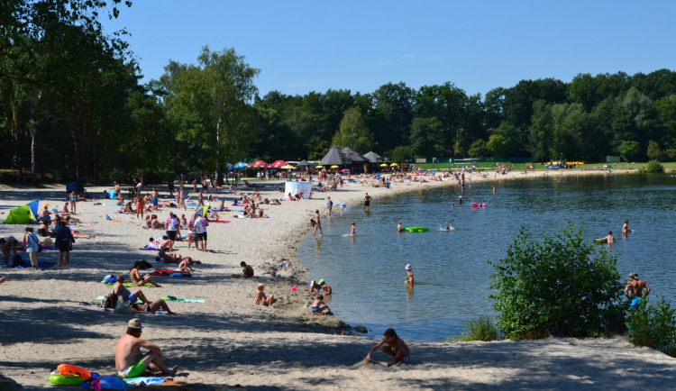 Hygienici kvůli sinicím zakázali koupání v Máchově jezeře na Českolipsku