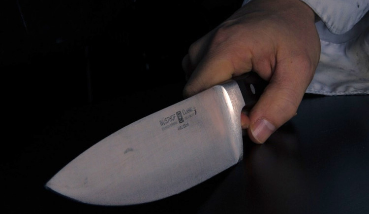 Žalobkyně Bradáčová nesouhlasila s mírným trestem za vražedný útok. Uspěla s dovoláním