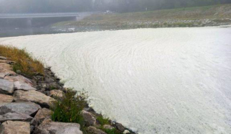 Dyje u novomlýnské nádrže je plná pěny z biomasy, kyslíku zatím ryby mají dost
