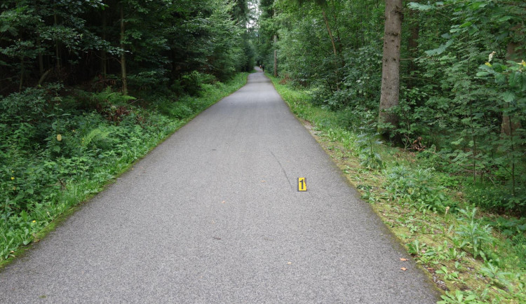 74letou ženu srazil na cyklostezce 76letý cyklista. Policie hledá svědky