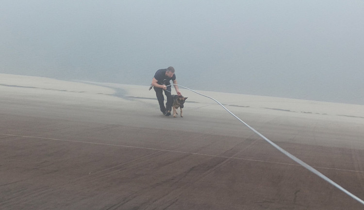 Německý ovčák vběhl v mlze do nádrže elektrárny Dlouhé stráně, prudký svah ho uvěznil