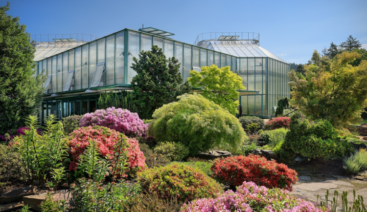 Botanická zahrada slaví dnes 130. narozeniny. Je nejstarší v ČR