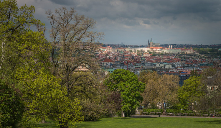 Praha 2 chce v Riegrových sadech postavit sportovní halu i nové hřiště