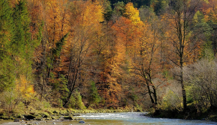 Některé jihočeské řeky mají kvůli suchu méně vody, než je obvyklé