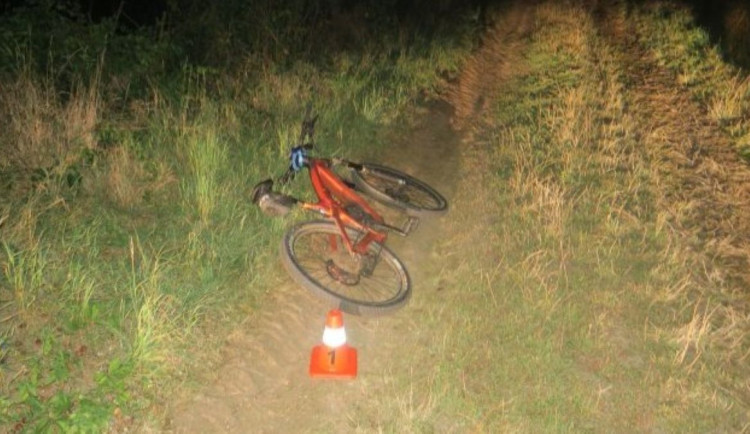 Na polní cestě u Rokytnice cyklistu srazila srna. Zasahovala policie