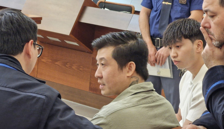 Za útok na těhotnou ženu a jejího muže sekáčkem  soud v Liberci útočníka potrestal 18 lety vězění