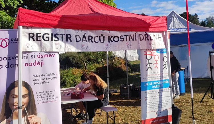 Do registrů dárců dřeně letos přibylo přes 31 tisíc lidí, loni přibližně 13 tisíc