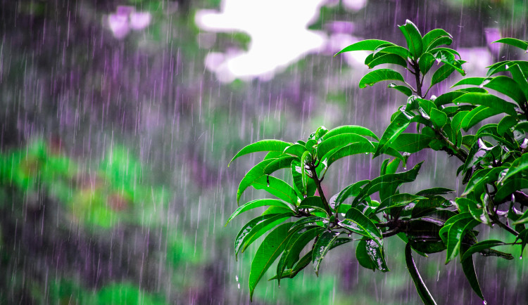 Jaký nás čeká týden očima meteorologů? Výrazně se ochladí a bude pršet