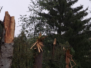 Zřícené letadlo patřilo karlovarskému hotelu Richmond, policie potvrdila jednu oběť