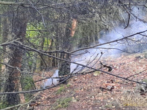 Zřícené letadlo patřilo karlovarskému hotelu Richmond, policie potvrdila jednu oběť