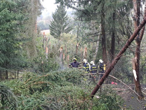 Zřícené letadlo patřilo karlovarskému hotelu Richmond, policie potvrdila jednu oběť