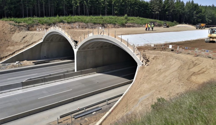 Na dálnici D3 je pět ekoduktů, projde jimi jelen i los