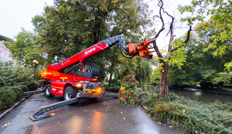 V karlovarských Dvořákových sadech byly pokáceny tři stromy kvůli hrozbě pádu. Foto: Se svolením Lázeňských lesů a parků