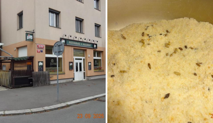 Sklad restaurace v Praze zamořily myši. Bobky našli i ve strouhance